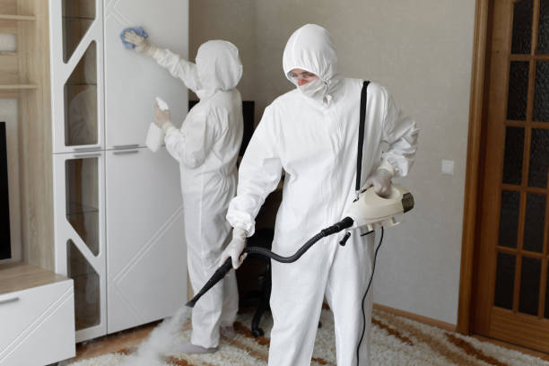 Best Certified Mold Removal  in Hahnville, LA