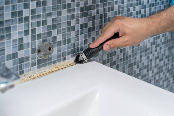 Best Mold Testing  in Hahnville, LA